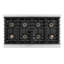 ZLINE Autograph 48 in. Paramount Dual Fuel Range w/ DuoPro Cooktop & Black Doors w/ Gold Accents-1696121621-1696121610