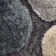 Drew Hand Tufted Grey/Blue/Cream Rug