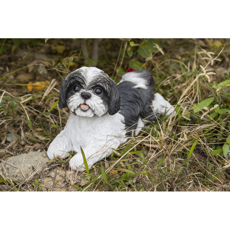 Statue d'un shih tzu allongé, Noir / Blanc