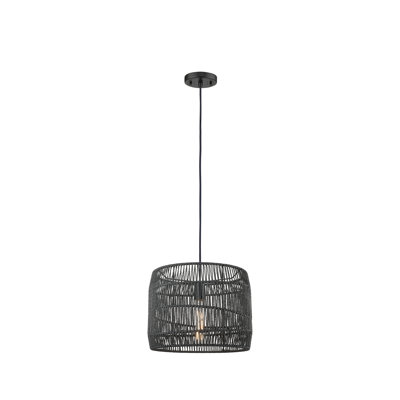 Luminaire suspendu 14 po Elwood