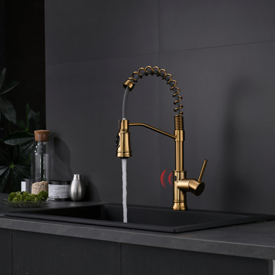 FLG Pull Down Touchless Kitchen Faucet