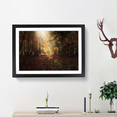 Sunlight Through the Trees - Picture Frame Painting Print