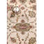Cobby Oriental Area Rug in Ivory
