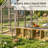 Modern Pet Coop