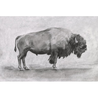 Étude de bisons sauvages I