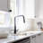AGUA CANADA Master Pull Down Kitchen Faucet