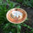 Dogwood Copper Birdbath with Stake