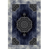 Oriental Indoor Rug