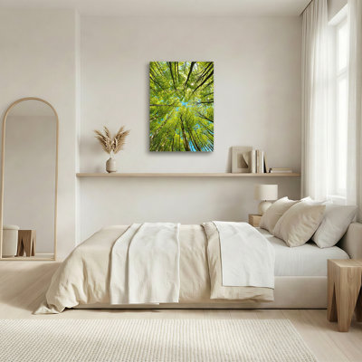 Toile ensoleillée à la forêt verte
