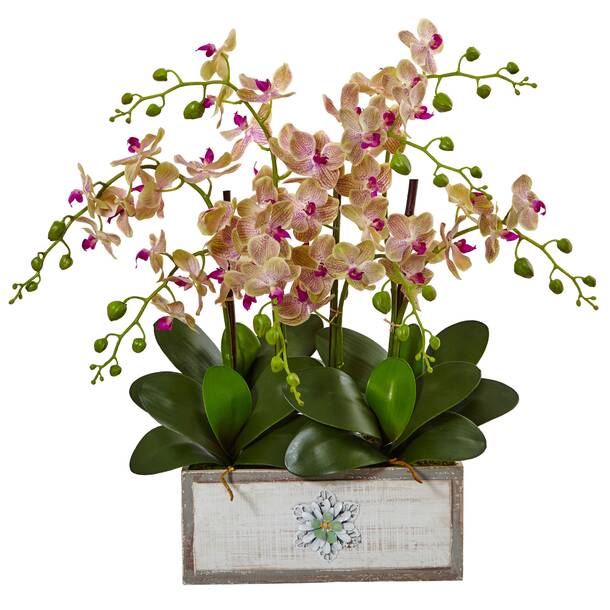 Rosdorf Park Orchid Arrangement in Planter & Reviews | Wayfair