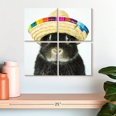 Brampt Rabbit Wearing Sombrero