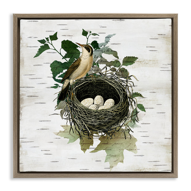 Cadre flottant rétro nid d'oiseau et fleur, design par Susan Arnot, H 18 po x l 18 po, Cadre flottant orme Montalcino