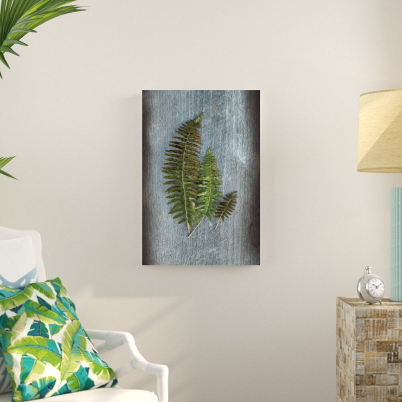 «Woodland Fern VI» par Sue Schlabach, reproduction de photo sur toile tendue, H 30 po x l 20 po