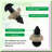 150pcs 6mm Plastic Safety Eyes with Washers