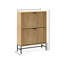 2 Door Shoe Storage Cabinet