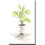 «Fiddle Fig Tree I» par Lanie Loreth - Peinture-65865010-65865009