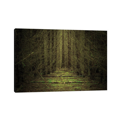 Deadwood by Lauri Lohi - Wrapped Canvas Print