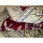 Nishtha Oriental Area Rug in Red