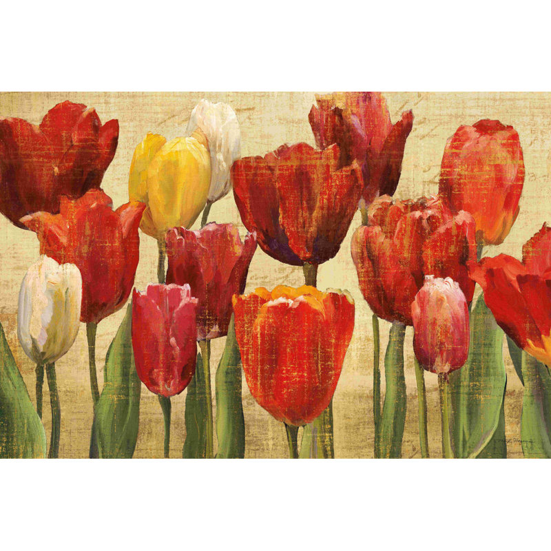 Tulip Fantasy Cream - Wrapped Canvas Painting, 32" H x 48" W