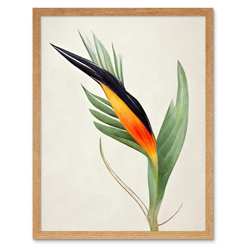 Tropical Bird Of Paradise Flower - Print, Light Brown Framed Paper, 25.9cm H x 20.6cm W x 1.5cm D