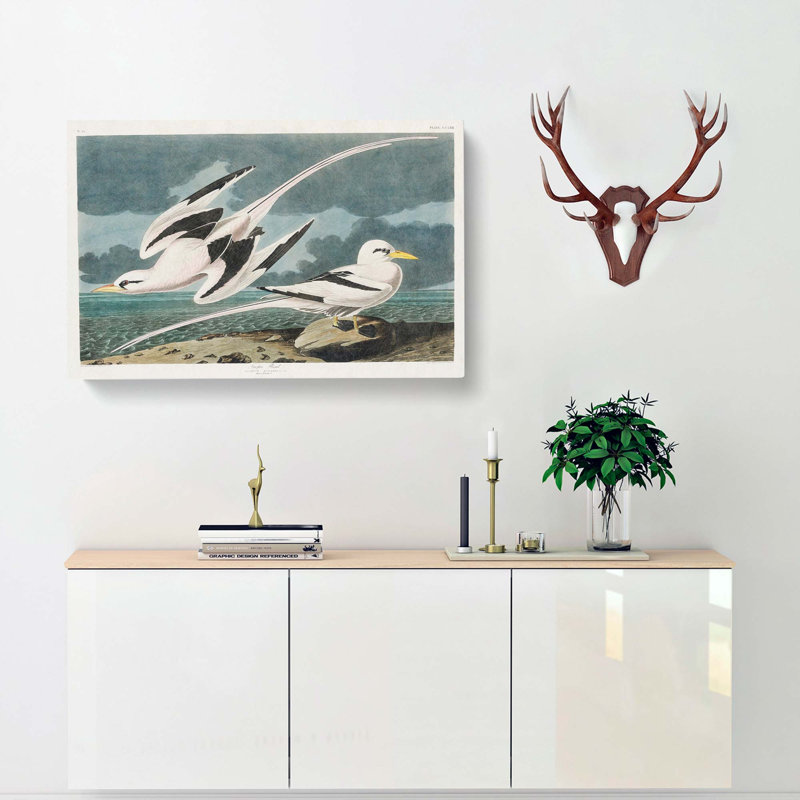 Tropicbirds by John Audubon - Wrapped Canvas Painting, 40cm H x 60cm W x 3cm D