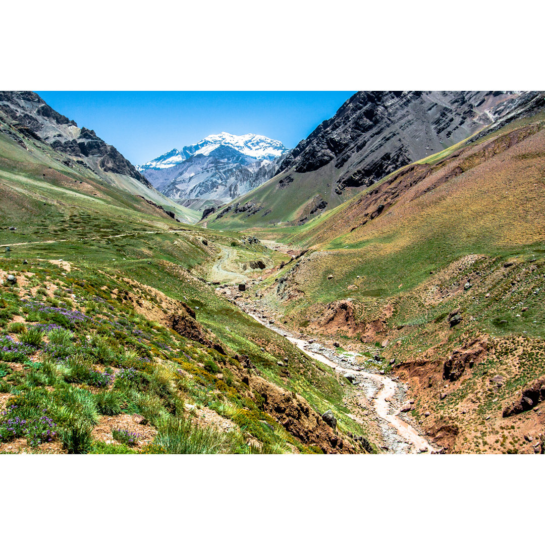 Der Berg Aconcagua von Gfed - Drucken