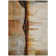 Machine Washable Indoor/Outdoor Xhevrie Paprika Rug