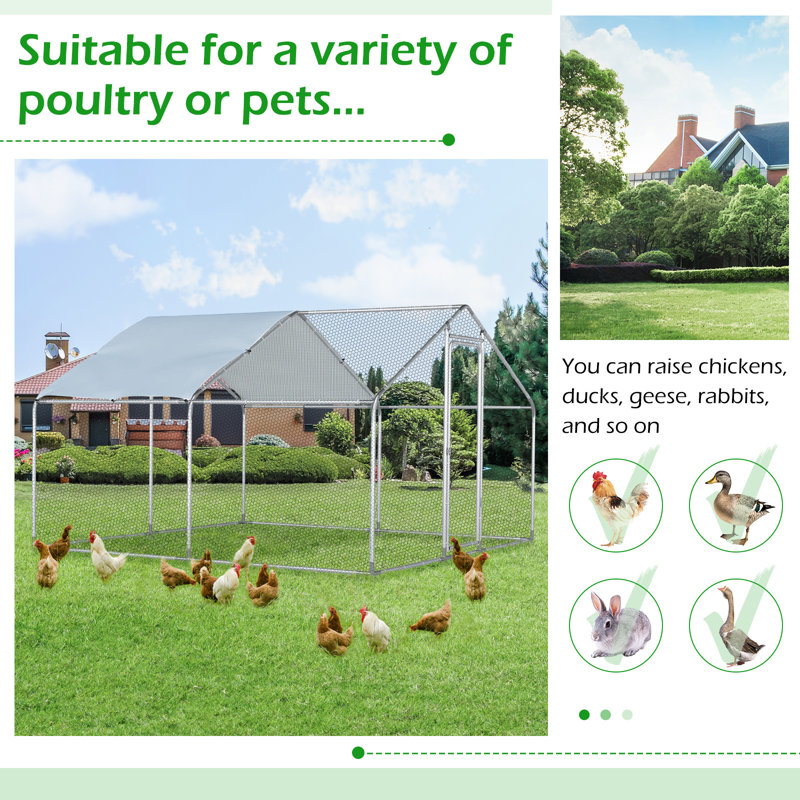 Deryck 130 Square Feet Walk In Chicken Run For Up To 13 Chickens