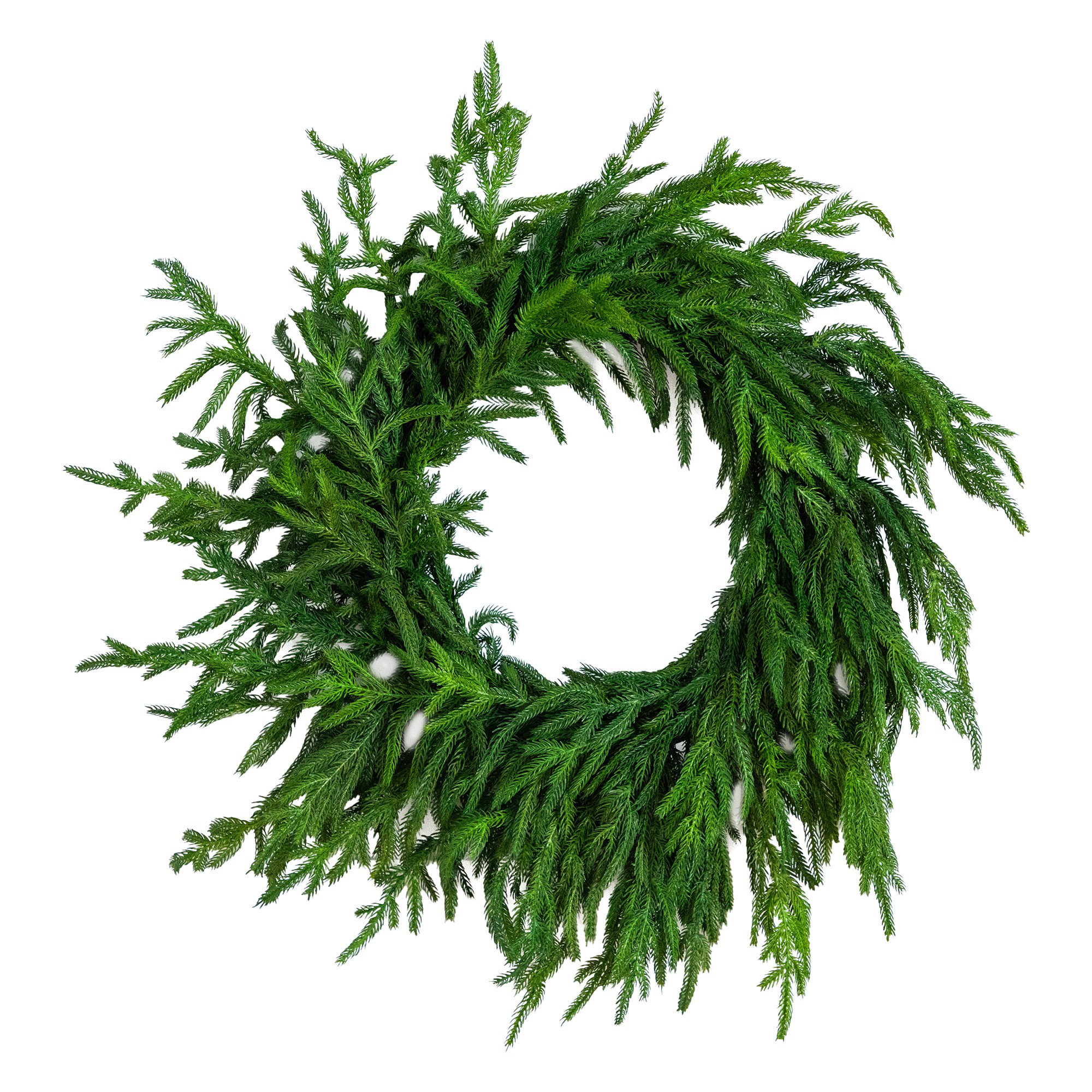 20In. Pre-Lit Artificial Real Touch Norfolk Island Pine Wreath With 35 Warm White LED Lights And Natural Look, Green