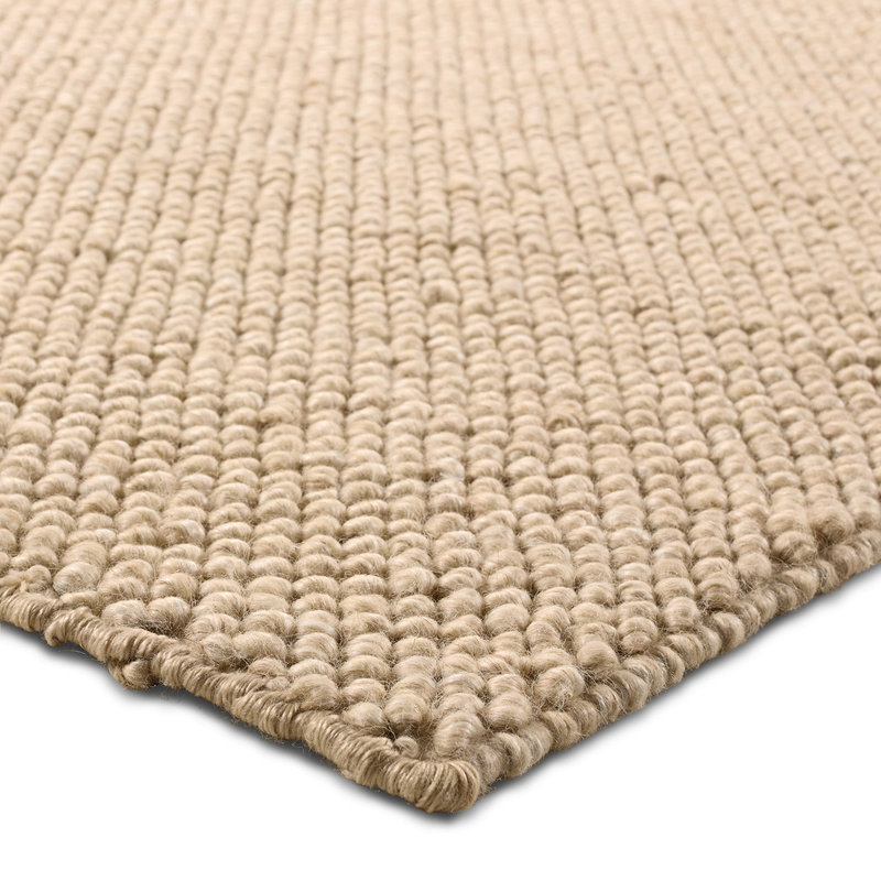 Tapis brun clair tissé à la main Lindquist fabriqué à partir de matériaux durables, Rectangle 7 pi 9 po x 9 pi 9 po