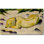 Carrelage mural décoratif en céramique 30 po x 18 po 6 po x 6 po
