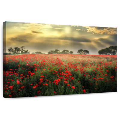Alvord Scandinavian Poppy Field