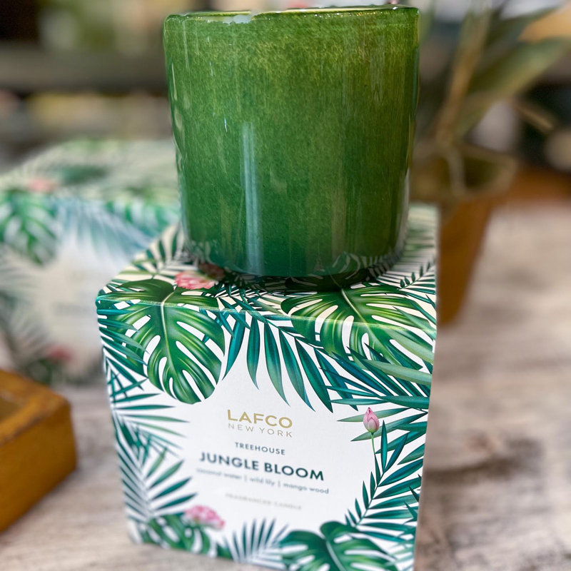 House and Home 15.5oz Jungle Bloom Signature Candle - Treehouse, 15.5 oz.