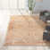 Gorsuch Oriental Indoor Rug