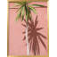 Coastal Retreat "Details of Tamraght Morocco" Framed Print Wall Art-725590593