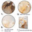 Beige Hibiscus, peinture sur toile I-63733974-63733975