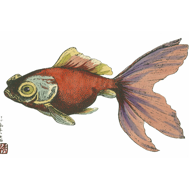 Poisson oriental II, H 24 po x l 36 po x P 1 po