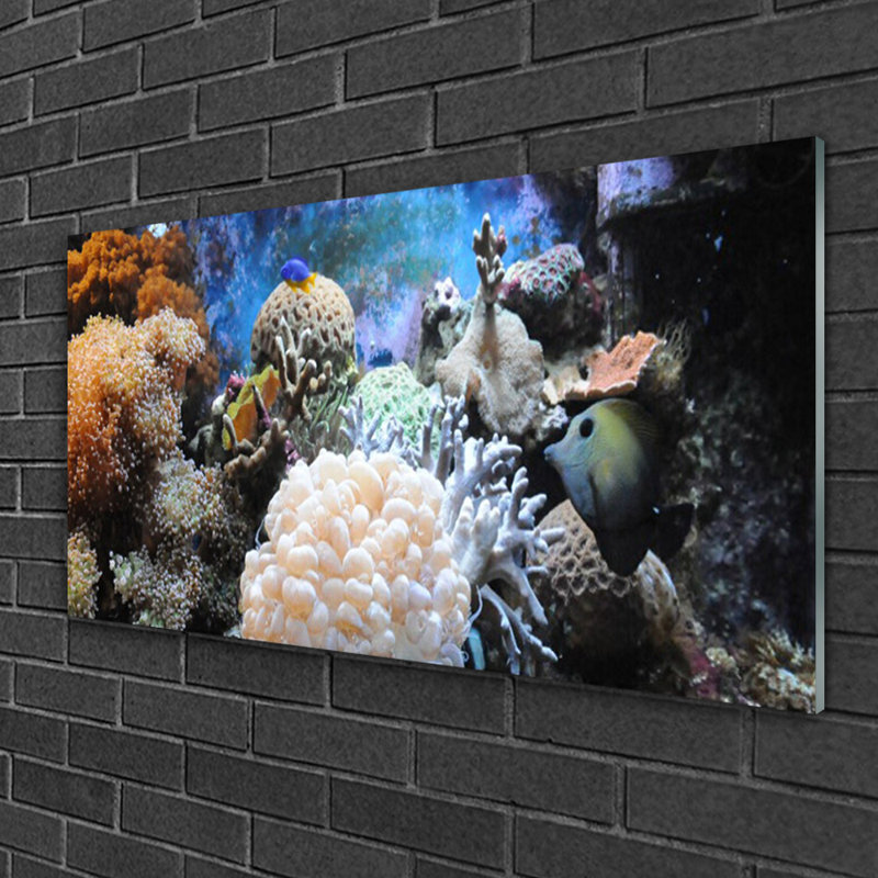 Coral Reef - Unframed Photograph on Glass