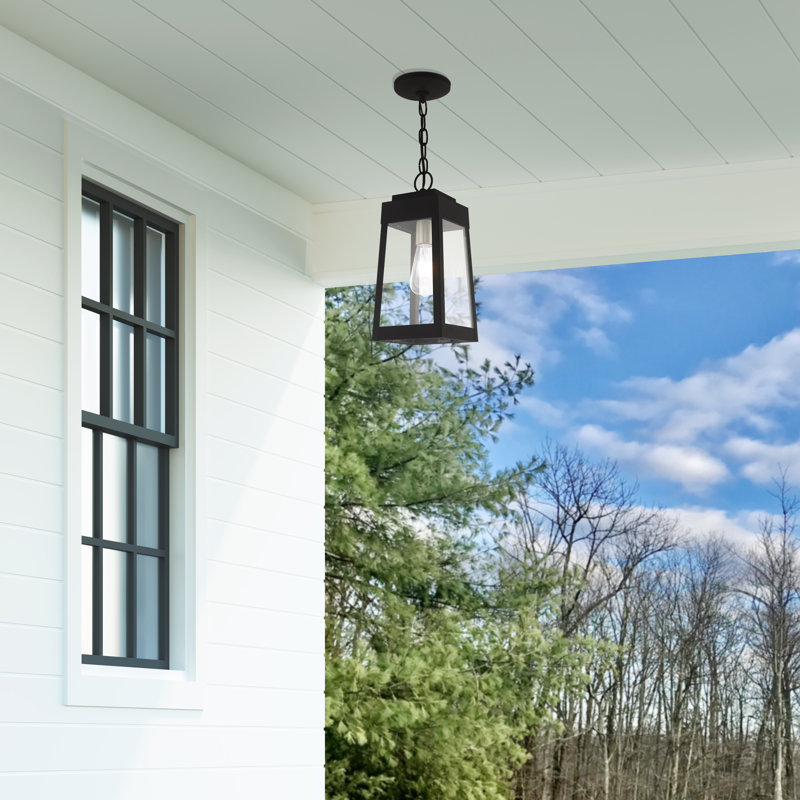 Lanterne suspendue d'extérieur 1 lumière H 14,5 po Antionetta, Noir, noir, noir, noir