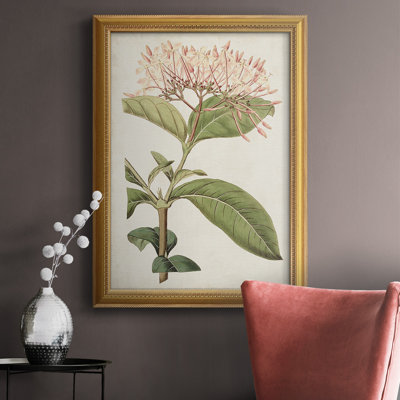 Toile encadrée de qualité supérieure Antique Botanical Collection VI - prête à être accrochée