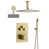 Brushed Gold is out of stock selected