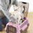 Richell: Double Door Pet Carrier II - Small Pink - Dog & Cat Transporter, Collapsible, Clear Top & Front Doors, Pets Up to 11 lb, Latches To Seat Belt