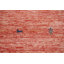 Tapis tribal Gabbeh style indien 4 x 6