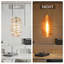 Aref 1-Light Dimmable Handblown Glass Single Pendant-736703323