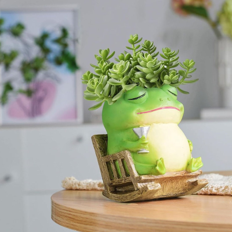Unique Frog Plant Pots Indoor With Drainage Hole