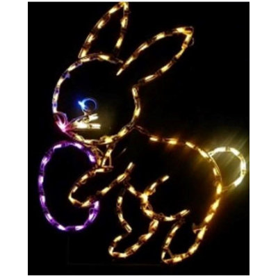 Easter Bunny with Egg Holiday Lighted Display