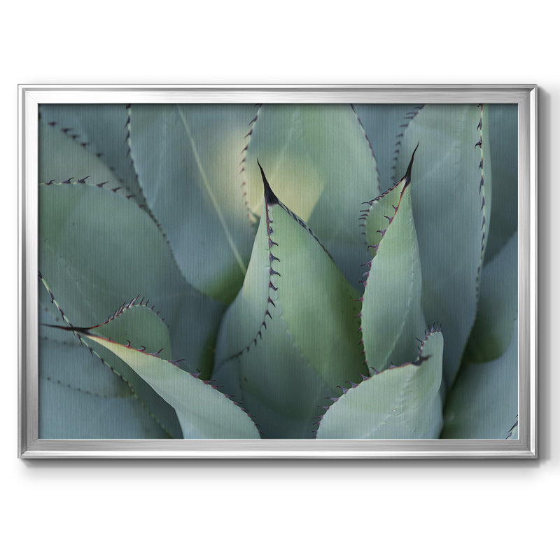 Blue Agave I, reproduction d'art sur toile, H 30 po x l 44 po x P 1,5 po, Argent