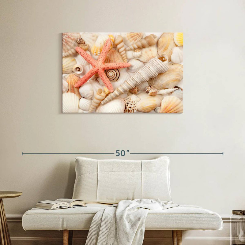 Aletra Seashell Pile
