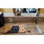 Tapis de séchage Black Chow Chow Heirloom