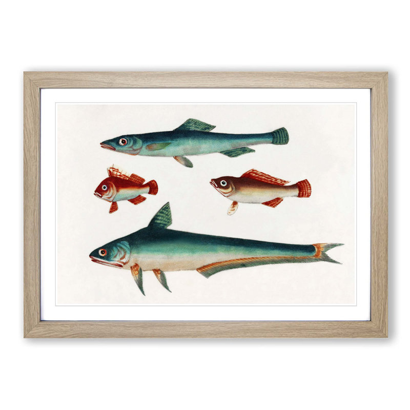 Two Brown and Green Fish - Picture Frame Painting Print, Oak Framed, 48cm H x 65cm W x 2cm D